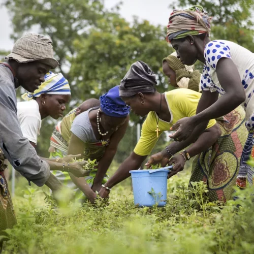 cooperatives-agricoles-1024x682