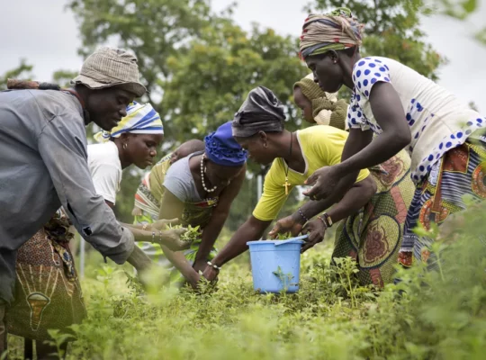 cooperatives-agricoles-1024x682