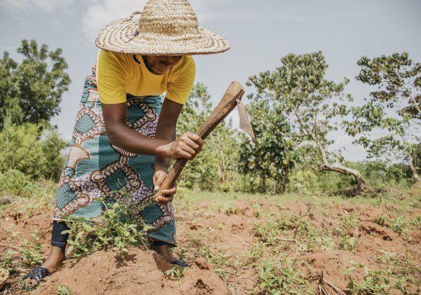 countryside-woman-working-field